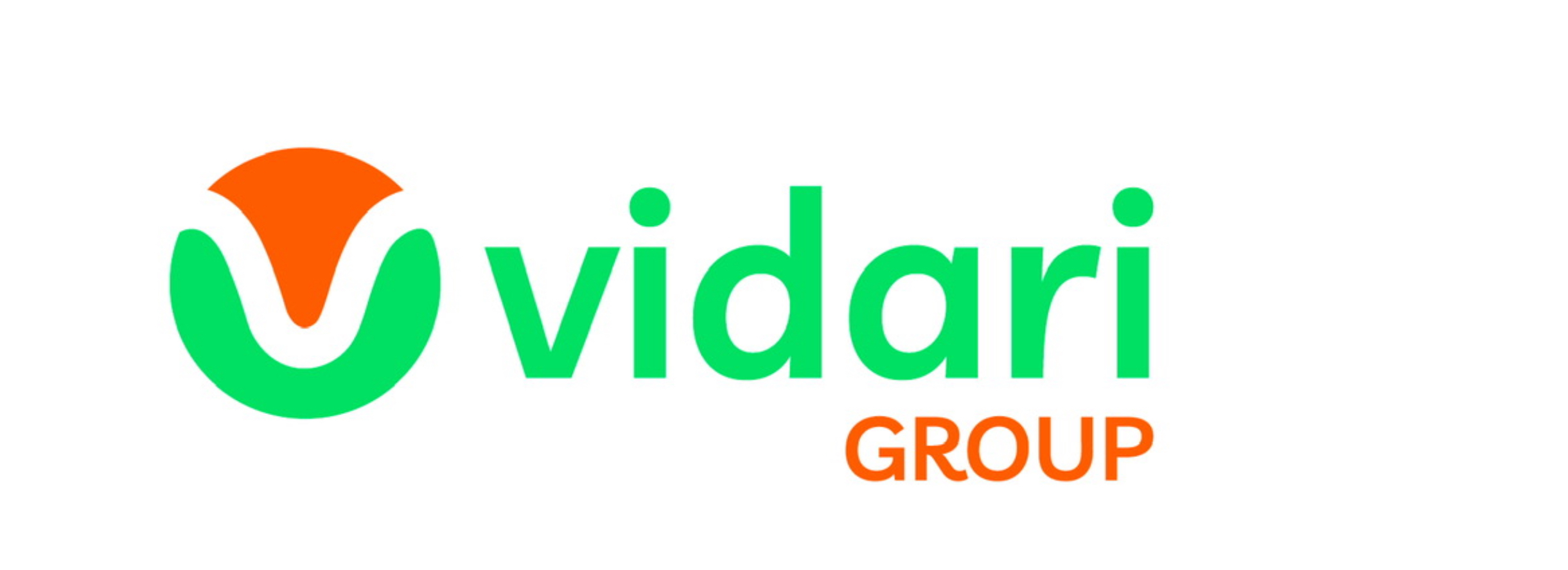 Vidari Group Logo